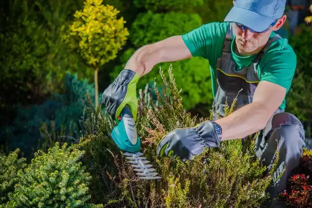 landscaping services Pearl